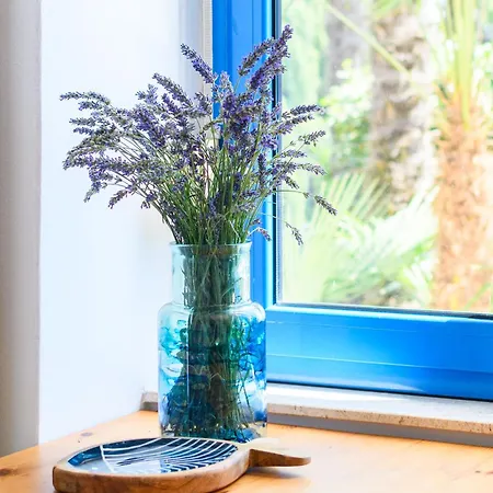 Apartman Zara Apartman